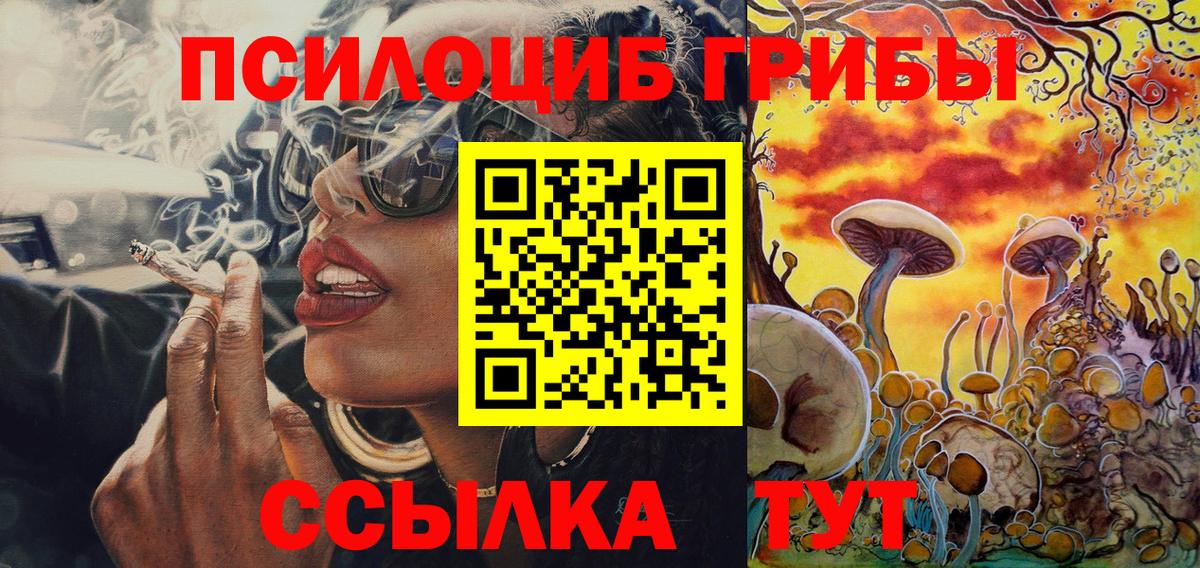 Курчалой  Псилоцибиновые грибы ЛСД  Вход с VPN  Галлюциногенные грибы GOLDEN TEACHER 